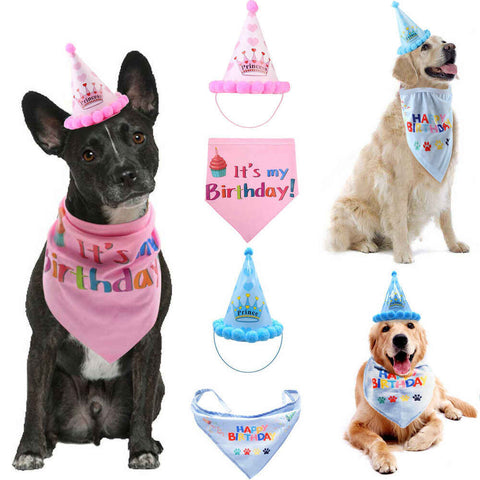 High Quality Sequined Pet Birthday Hat with Bib Cat Dog Party Hat and Bib Birthday
