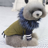 Luxury Dog Coat For Small Dog