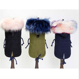 Luxury Dog Coat For Small Dog